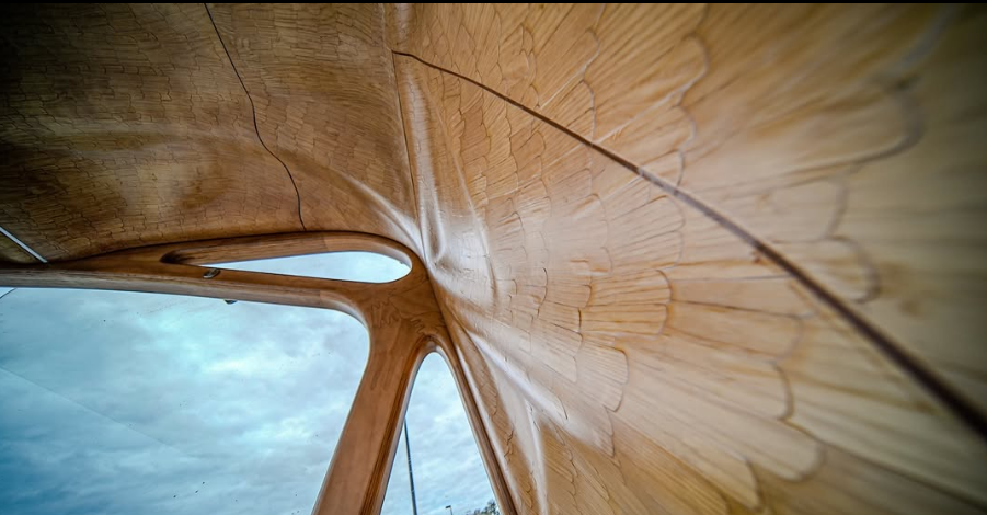 Curved Woodflow timber structure by Strong By Form